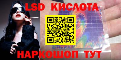 прущие грибы Краснодар