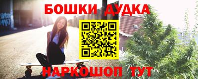 прущие грибы Краснодар