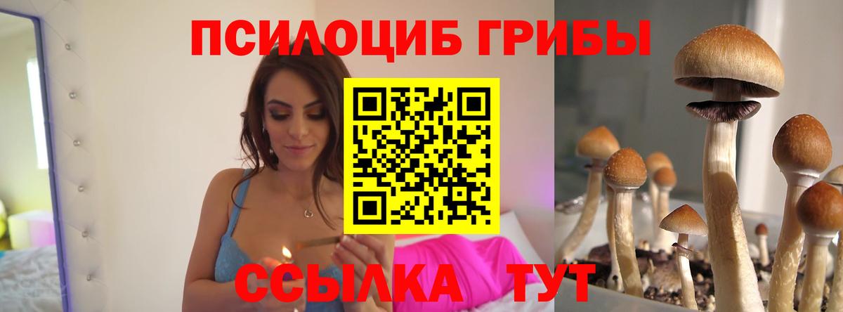 Псилоцибиновые грибы ЛСД  Вход с VPN  Корсаков 